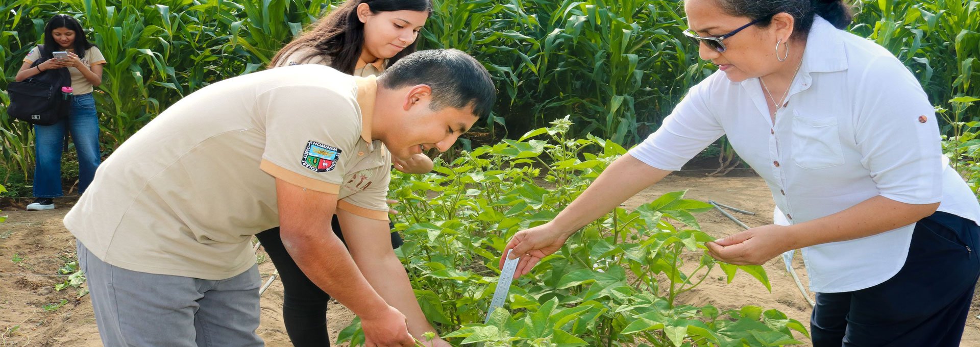 Facultad de Agronomía