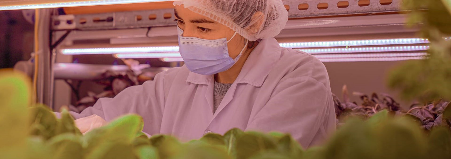 Facultad de Agronomía