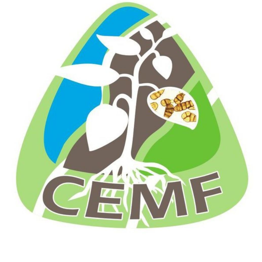 CEMF 