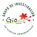 GIO