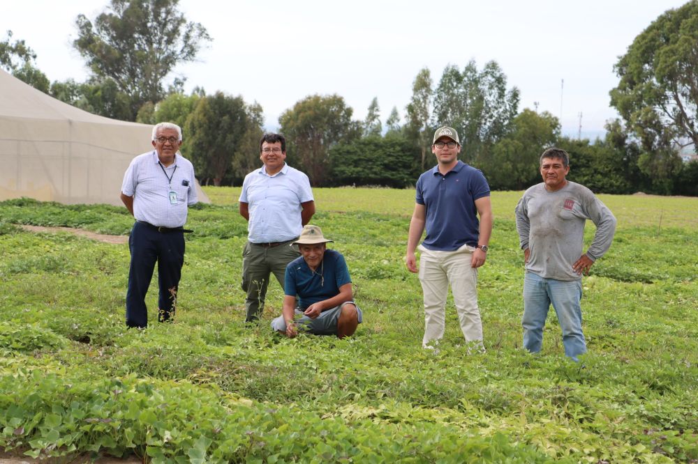 Transformando arenales en futuro agrícola