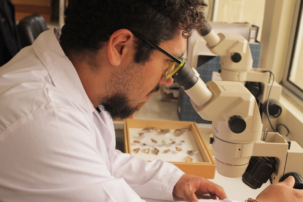 Laboratorio de Entomología