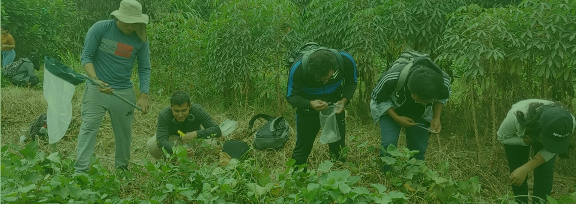 Facultad de Agronomía