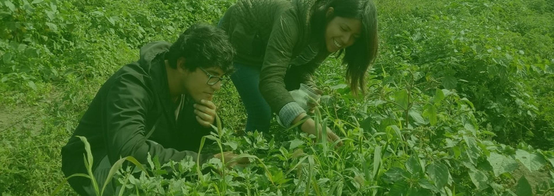 Facultad de Agronomía