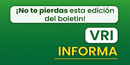 vicerrectorado Investigación