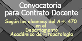 Convocatoria para contrato docente bajo los alcances del Art. 470