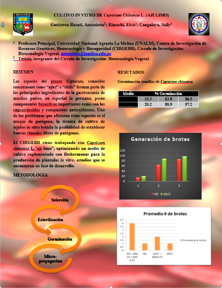 curso 1