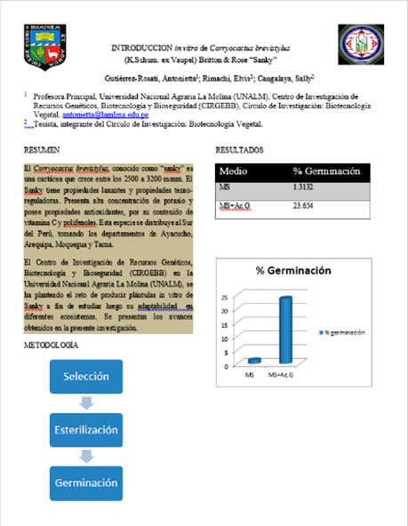 curso 3