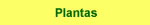 Plantas