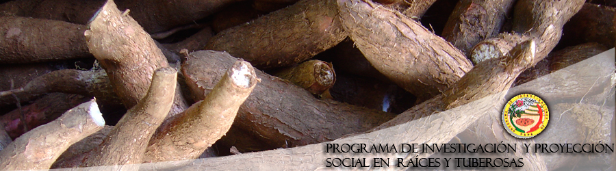 IRD-COSTA-UNALM