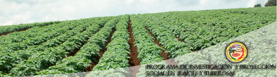 IRD-COSTA-UNALM