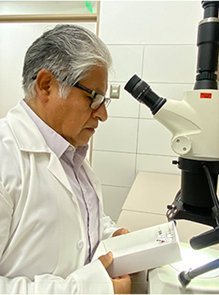 Alexander Regulo Rodríguez