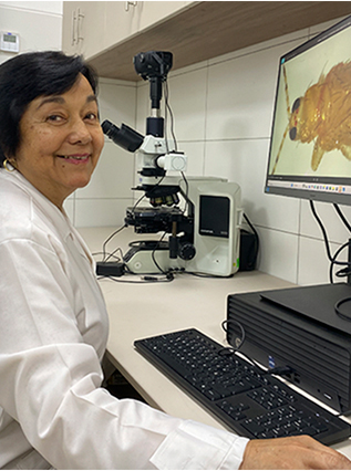 Clorinda Vergara Cobian