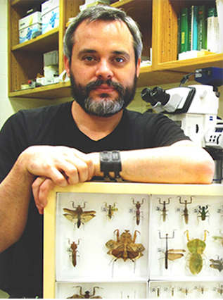 Julio Rivera Castillo