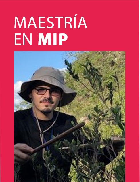 Maestría en Entomología