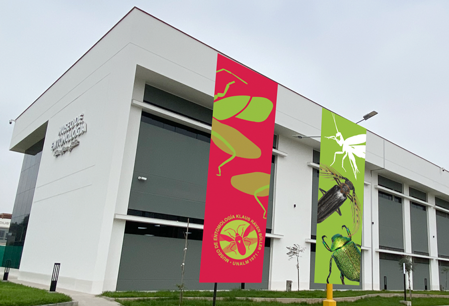 Museo de Entomología