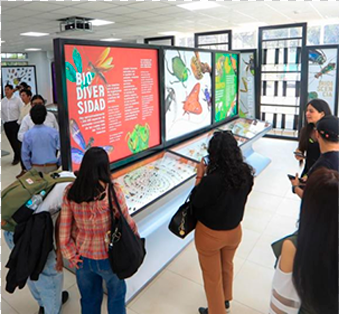 Directores del Museo