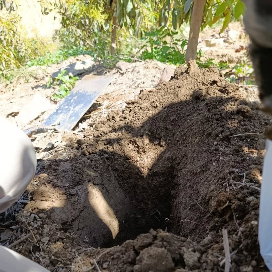 Muestreo de suelos agrícolas