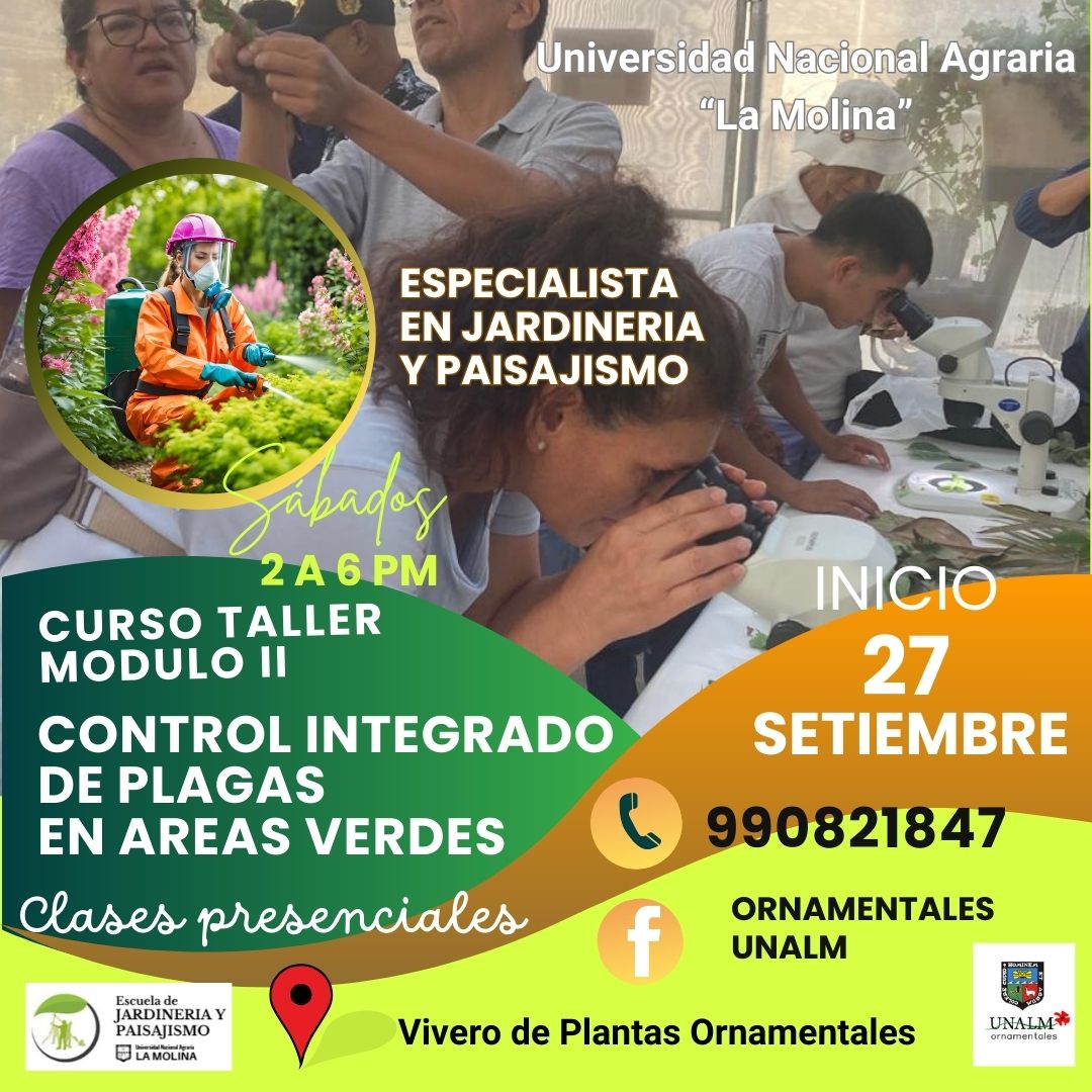 Jardineria y Paisajismo