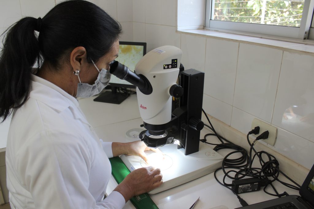 Laboratorio Compartido