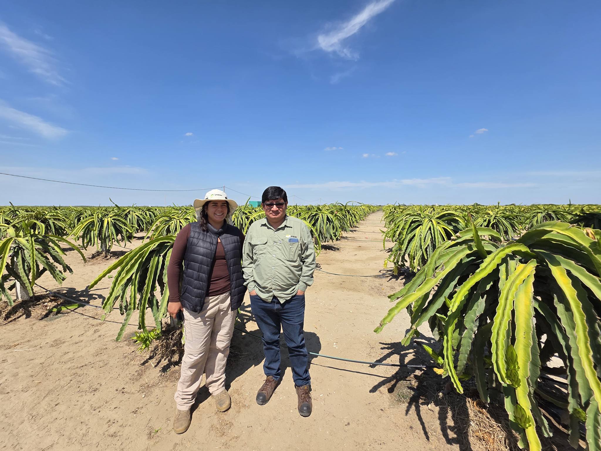 Competencias Generales