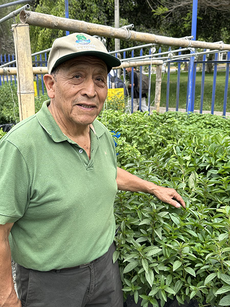 M.Sc. Carlos Chuquillanqui
