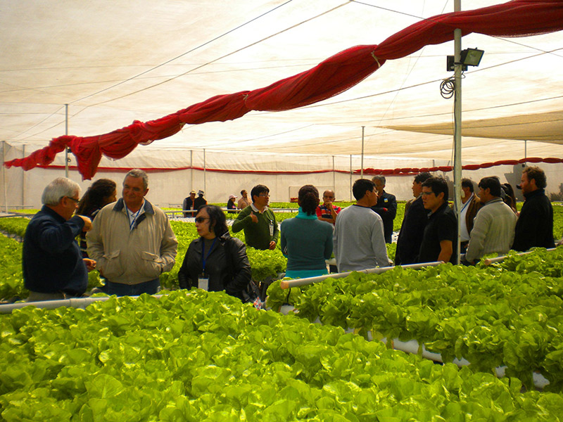 Tour Empresa 2