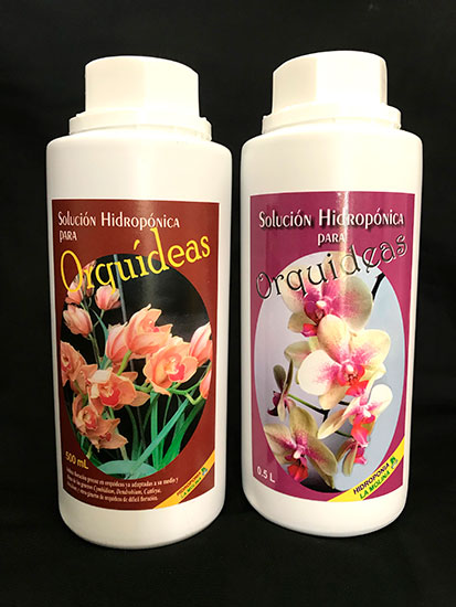Plantas de orquídeas