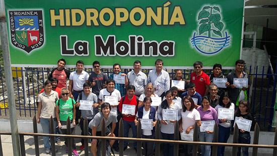 modulo hidroponia