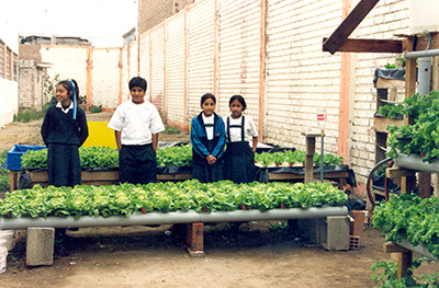 niños del Colegio César Vallejo del Callao