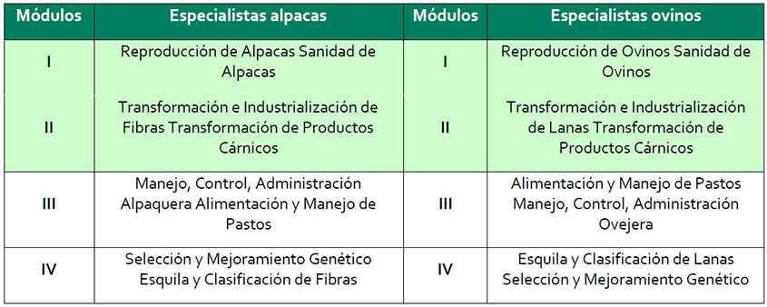 agrupación musical conformada por egresados molineros